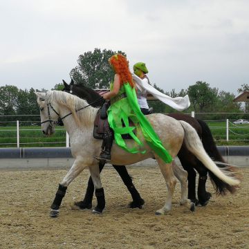 347089892 270854298718076 n