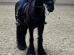 whatsapp image 2023 04 07 at 21.48.49  