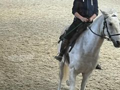 whatsapp image 2023 04 28 at 19.48.05  