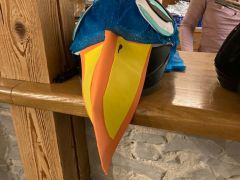 whatsapp image023 05 12 at2.12.08  