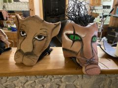 whatsapp image 2023 05 12 at.12.08