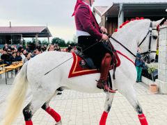 whatsapp image 2023 05 14 at 20.25.20  