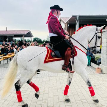 whatsapp image 2023 05 14 at 20.25.20  